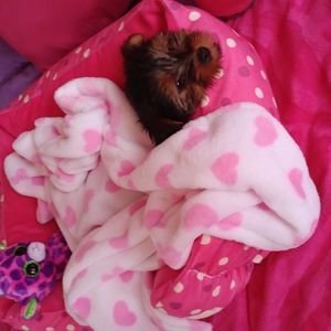 Meet your Posher, Marian